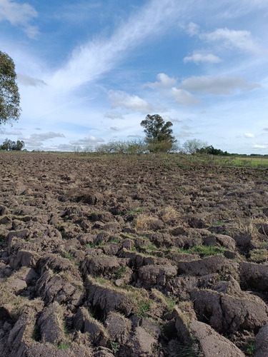 Vendo Chacra Con Cabaña De Madera, Cañada, A 30 Km De Montevideo
