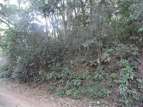 Imagem 3 de 4 de Terreno Em Serra Da Cantareira - São Paulo, Sp - 142435
