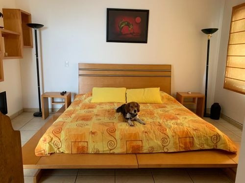 Casa En Renta En Milenio 3a. Sección