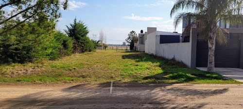 Imagen 3 de 9 de Terreno - Pueblo General Belgrano