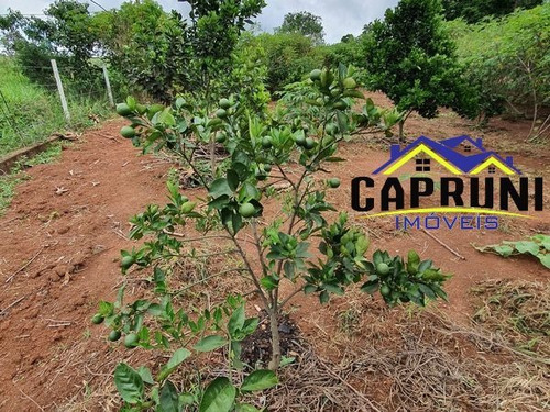 Imagem 3 de 15 de Chácara Em Zona Rural, Passa Tempo/mg De 5200m² 2 Quartos À Venda Por R$ 250.000,00 - Ch2330827-s