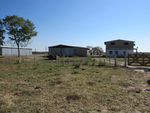 Imagen 14 de 14 de Campo Venta Formosa Agricultura Ganaderia Mixto Mejoras