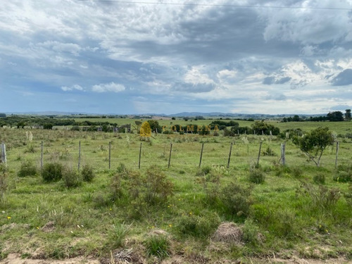 Campo En Garzon - Ideal Para Uso De Descanso - Consulte!!!!- Ref: 3606