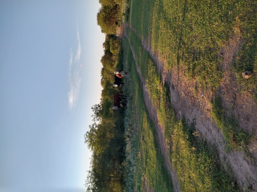 Imagen 10 de 19 de Excelente Campo En Chuchiras, San Javier