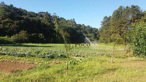 Chácara Com 3 Dormitórios À Venda, 8750 M² Por R$ 700.000 - Capelinha - Guarulhos/sp - Ch0021