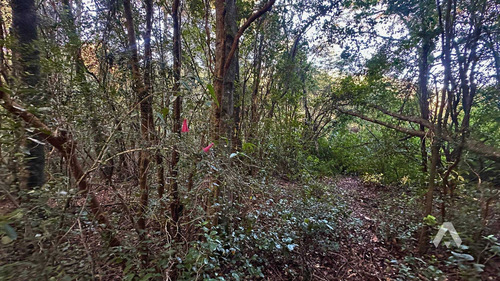 Parcela En Venta A 25 Minutos De Pucón (71229)