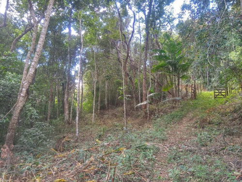 Imagem 13 de 30 de Excelente Terreno Á Venda De 16.500m2 Em Condomínio Rural Clube Juca Vieira C/ Área De 16.500 M², C/ Córrego De Água Cristalina Nos Fundos! - Oci0101 - 69485109