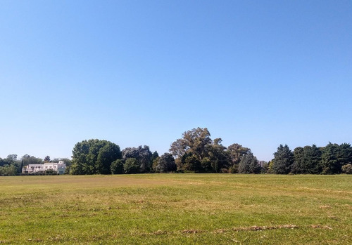 Imagen 2 de 12 de Chacra - El Argentino Farm Club