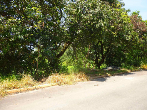 Imagem 2 de 18 de Terreno A Venda, Colinas De Indaiatuba Ii, Indaiatuba - Tr01631 - 4229513