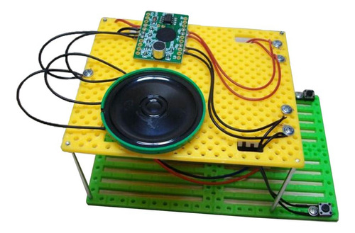 Diy Electric Recorder Circuit Puzzle Kid Física Ciencia