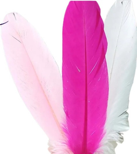 Imagen 4 de 5 de Plumas De Colores