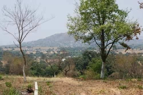 Imagen 5 de 6 de Terreno Campestre Totolapan, Morelos