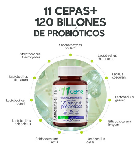 Imagen 4 de 7 de Megabiotic 11 Cepas De 120 Billones Probioticos 60 Capsulas