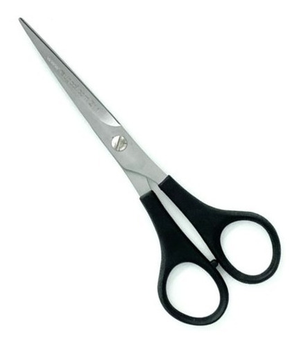 Tijeras Profesionales Para Cabello Microdentadas 5,5 