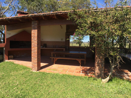 Chacra - José Ignacio