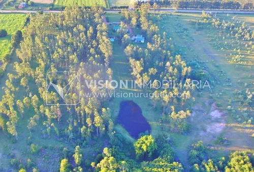 Imagen 10 de 30 de Chacra De 15 Hás Con El Confort De Hermosa Casa Reciclada, Barbacoa Y Piscina Climatizada.