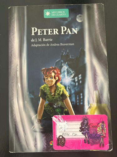Libro Peter Pan Jm Barrie Mid Libros De Cuarto Santillana