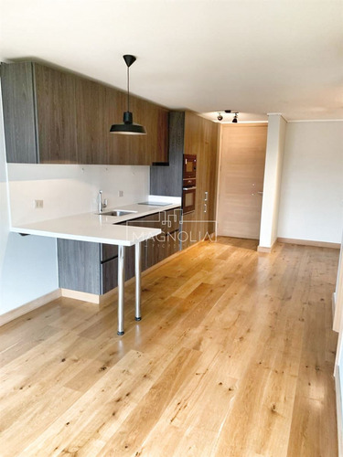 Departamento En Venta De 1 Dorm. En Puerto Varas