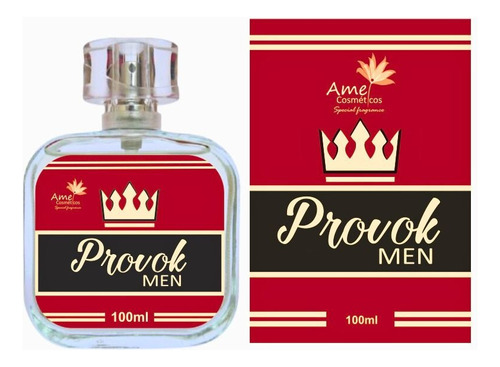 Perfume Amei Cosméticos Provok Men 100ml - Fragrância Importada