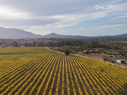 Terreno En Catapilco, Camino Ex La Hacienda