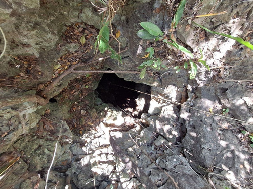 Rancho En Venta Con Cenotes En Excelente Zona Ganadera Del Estado De Yucatán
