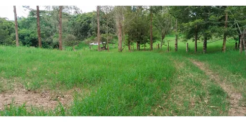 Venta Finca La Tebaida Cultivada En Pasto - 40 Cuadras