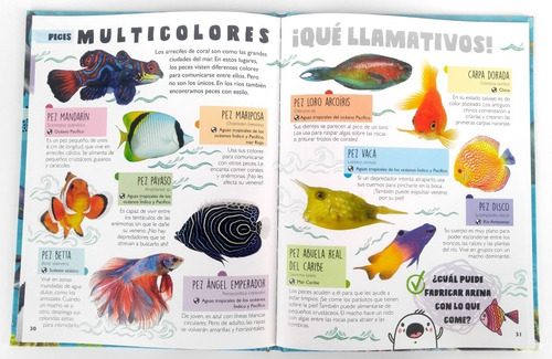Libros Animales Del Mar/ Serpientes, Reptiles E Insectos
