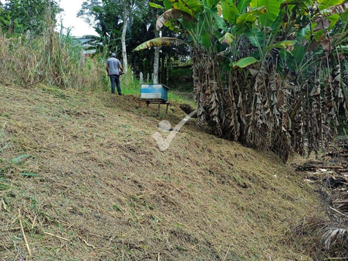 Imagem 19 de 19 de Chácara À Venda Em - Ch004063