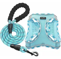 Comprar Haapaw Arnés Para Perros Con Juego De Correas, Sin Tirones, 