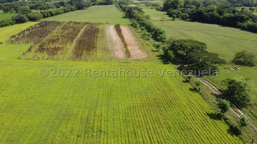 Julio Latouche 25-16896 Finca Ganadera En Venta Carabobo, 267 Hectáreas, Casa Principal De 550 Mts2, Dos Lagunas Para Riego.