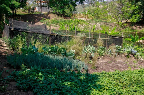 Imagem 16 de 30 de Chácara Com 2 Dormitórios À Venda, 30 M² Por R$ 650.000 - Porangaba - Porangaba/sp - Ch0009