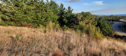 Parcela 3000 M2 En Venta Cobquecura