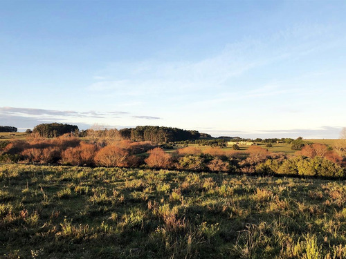Imagen 8 de 9 de Campo - José Ignacio