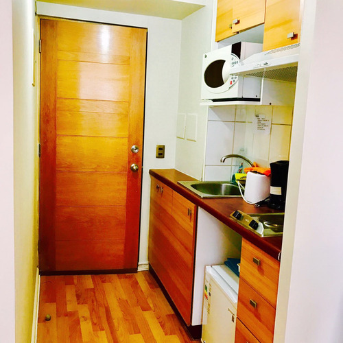 Arriendo Estudio 1 Ambiente Metro Moneda