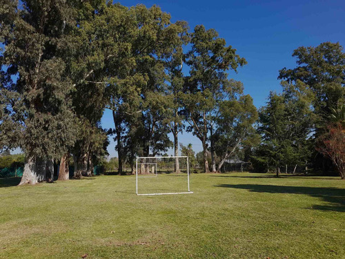 Imagen 7 de 13 de Venta Lote Terreno 3600m2