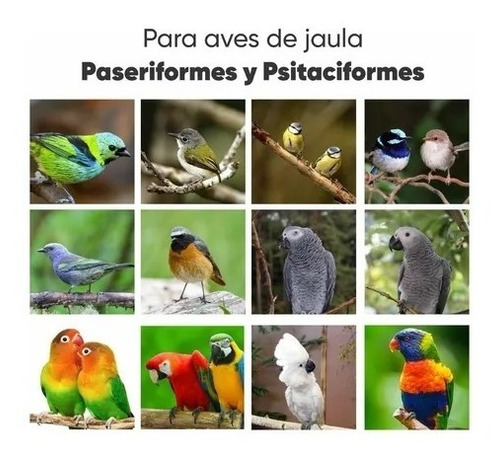 Imagen 5 de 5 de Alimento Pasta Embuche Aves Loros Exzootix 21/15 500 Gr