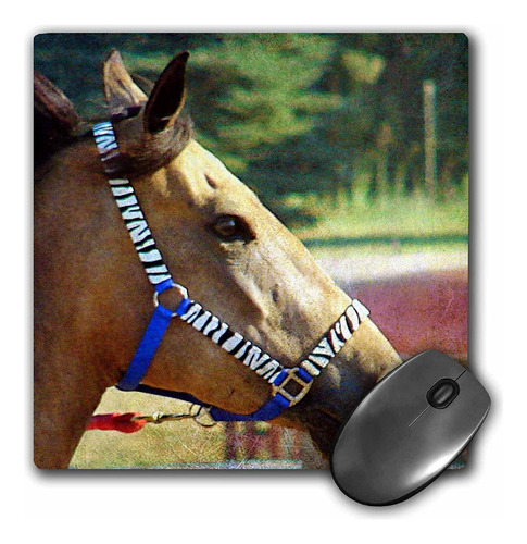 3drose Llc 8 X 8 X 0.25 Inches Mouse Pad, Buckskin With A Ze