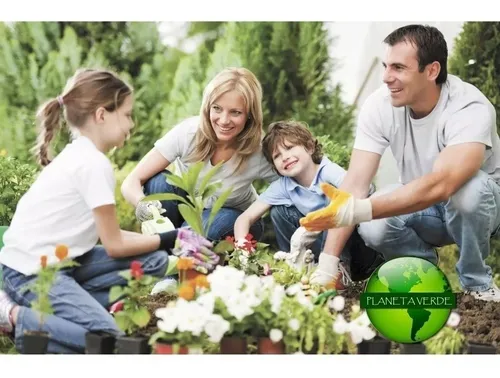 Insecticida Lupara X 20 L Mercaptotion 100% Mosca Fruta Co