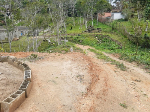 Imagem 7 de 28 de Terreno - Te00030 - 68403756