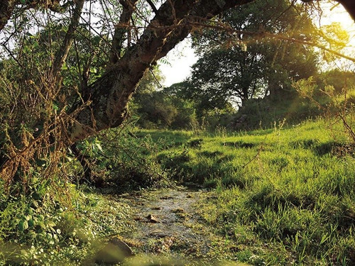 Imagen 2 de 3 de Venta De Exclusiva Chacra En La Cunka