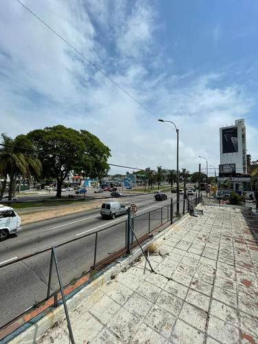Imagen 3 de 8 de Local En Venta En Malvin (ref: Vld-2934)
