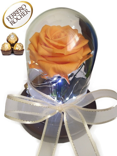 Rosa Preservada Premium 100% Natural + Cúpula + Envio Gratis