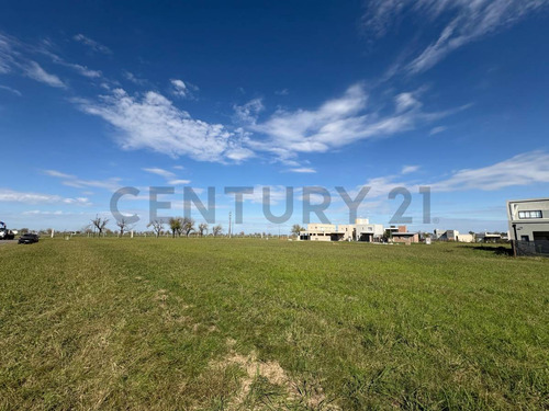 Venta Lote En Don Mateo - Cimarrón Entre Fuerza Aérea Y Rodriguez