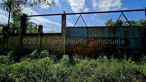 Terreno En Venta En Los Anaucos Cda 24-8682 Yf