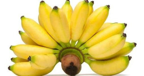 Banano Bocadillo Semillas X10 Unidades