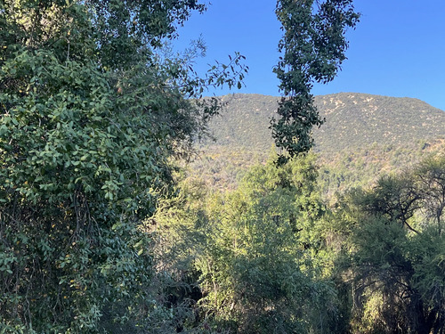 Entre Bosques, Maravillosa Parcela De 4 Há.