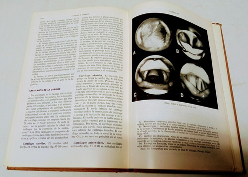 Libro De Anatomía, Estudio Por Regiones Del Cuerpo Humano (Usado)