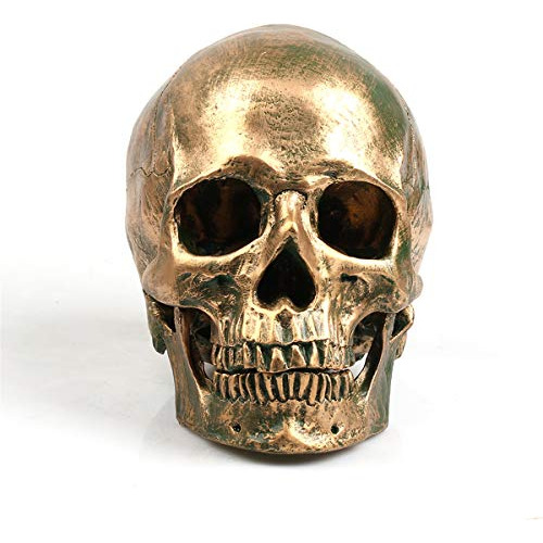 Ecyc 1:1 Resin Human Skull Modelo Halloween Props Dg8ua