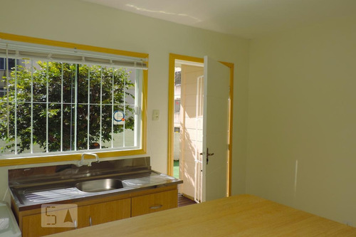 Apartamento Para Aluguel - Saco Dos Limões, 1 Quarto, 16 - 893305438