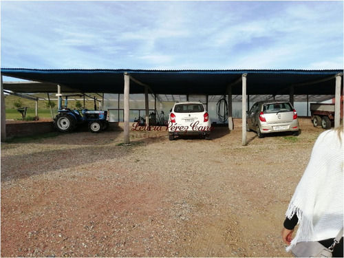 Imagen 5 de 20 de Venta Chacra 4 Dormitorios En Pueblo Eden
